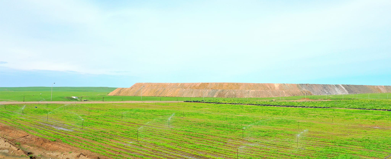 Хөрс нөхөн сэргээлт